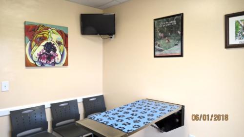 fullsizeoutput 19a3-min