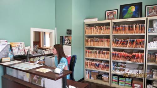 fullsizeoutput 19d3-min