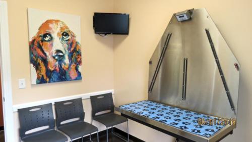 fullsizeoutput 19dd-min