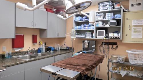 fullsizeoutput 19e0-min