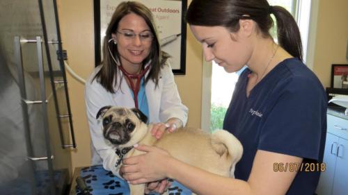 fullsizeoutput 19e5 (1)