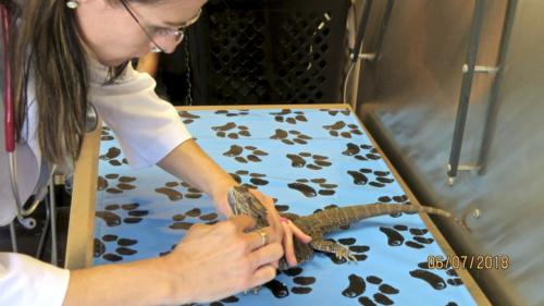 fullsizeoutput 19e9 (1)