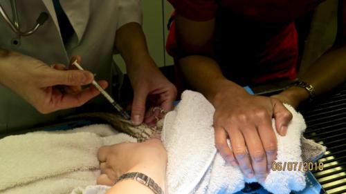 fullsizeoutput 19eb (1)