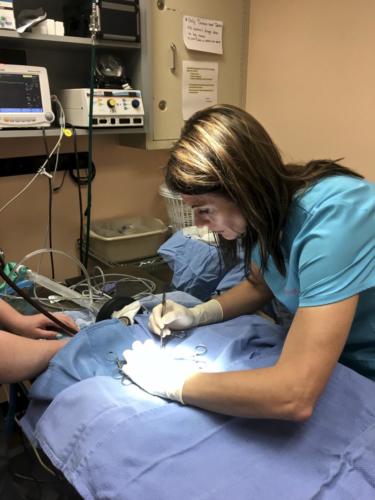 fullsizeoutput 1a5c (1)